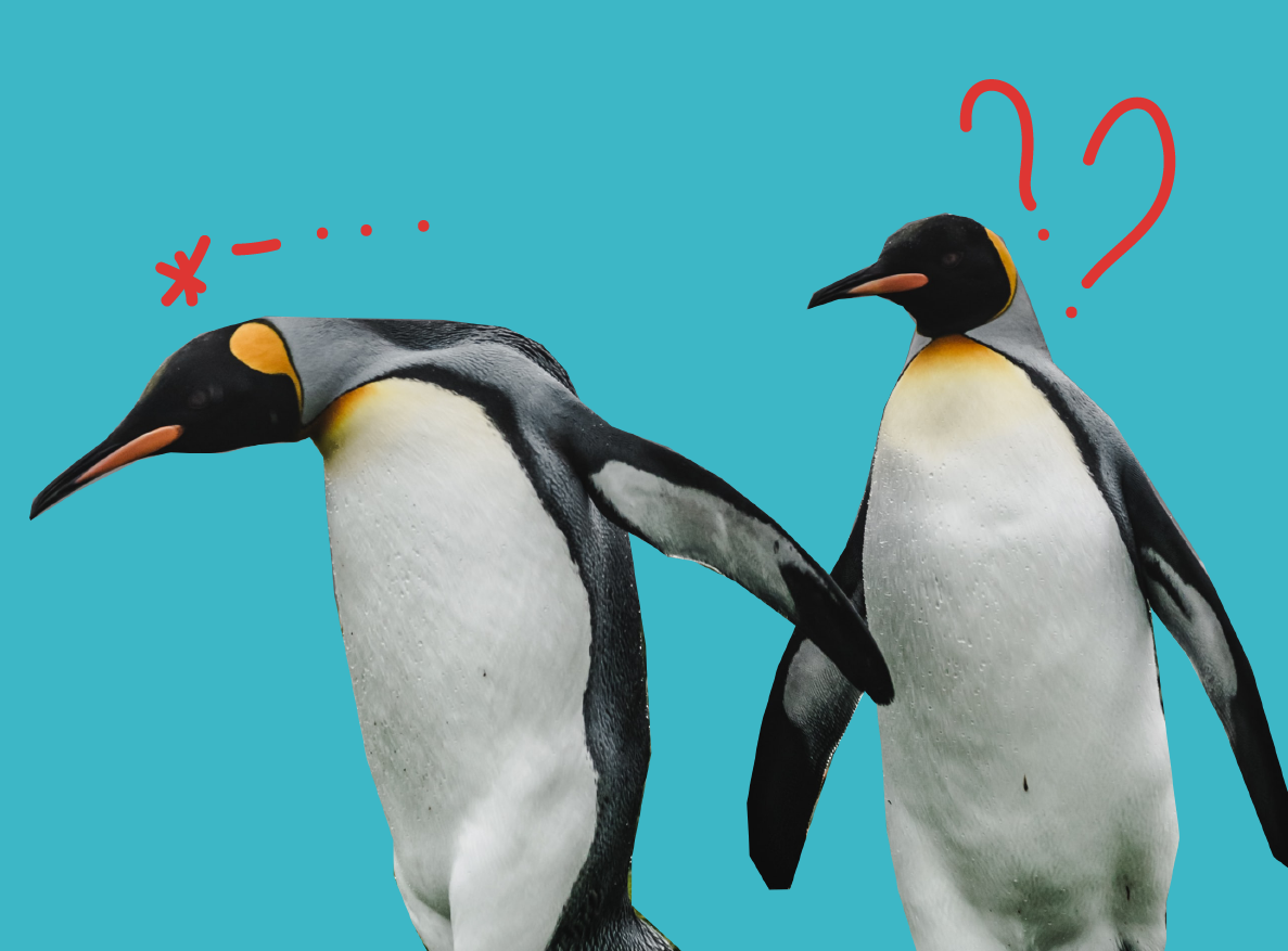 I wish/if only: как говорить о желаниях на английском